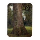 Zoek naar boomstam magneten Tree