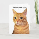 Zoek naar overleden kaarten Humor