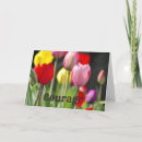 Zoek naar empathie kaarten Kanker