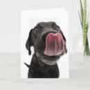 Zoek naar hond neus kaarten Puppy