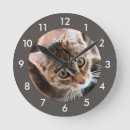 Zoek naar kitty klokken Kitten