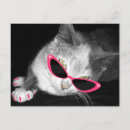 Zoek naar kattenverjaardag uitnodigingen Meisjesverjaardag