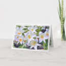 Zoek naar lilium kaarten Voor iedereen