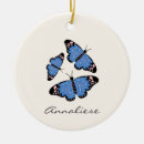 Zoek naar blauwe vlinders ornamenten Illustratie