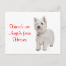 Zoek naar westie briefkaarten Hond