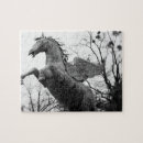 Zoek naar gevleugeld puzzels Pegasus
