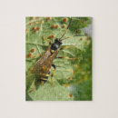 Zoek naar gevleugeld puzzels Dieren