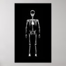 Zoek naar zwarte schedel posters Skeletten