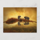 Zoek naar olifant briefkaarten Zonsondergang