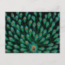 Zoek naar allegorie posters Kromme