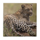 Zoek naar tanzania tegels Zoogdier
