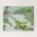 Zoek naar amfibie puzzels Dier