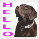 Zoek naar zwarte labrador retriever hond stickers Voor haar