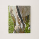 Zoek naar paarden puzzels Pony