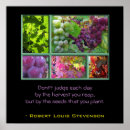 Zoek naar druif posters Druiven