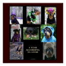 Zoek naar hond in kostuum posters Huisdier