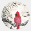 Zoek naar roodborstje stickers Robin