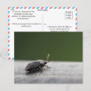 Zoek naar stink briefkaarten Voor iedereen