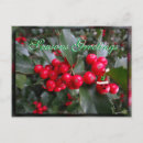 Zoek naar vakantie humor briefkaarten Vrienden