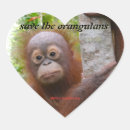 Zoek naar orang oetan stickers Mensapen