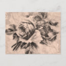 Zoek naar sepia bloemen briefkaarten Roos