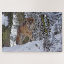 Zoek naar sneeuw puzzels Dieren