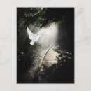 Zoek naar duif briefkaarten Vreedzaam