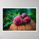 Zoek naar bieten posters Groenten