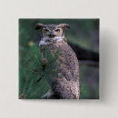 Zoek naar roofvogels buttons Close up