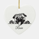Zoek naar pugs ornamenten Voor huisdieren