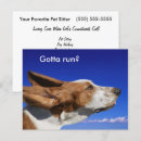 Zoek naar basset briefkaarten Hond uitlaten zaken