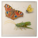 Zoek naar insect tegels Elk persoon