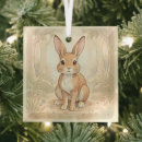 Zoek naar bruin konijn ornamenten Schattig