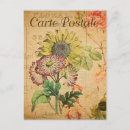 Zoek naar vintage botanical briefkaarten Zonnebloem