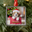 Zoek naar beagle ornamenten Feestelijk