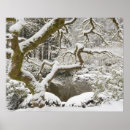 Zoek naar esdoorn posters Tuin