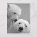 Zoek naar kus fotografie Valentijn