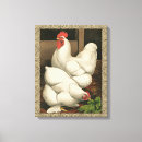 Zoek naar kip kunst Boerderij