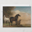 Zoek naar twee paarden kaarten Hengst