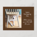 Zoek naar witte hond briefkaarten Grappig