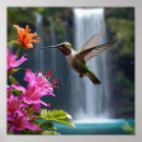 Zoek naar kolibrie posters Vogel