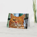 Zoek naar knipoog posters Kat