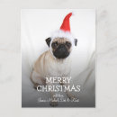 Zoek naar gewervelde dieren posters Verticaal