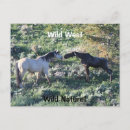 Zoek naar molen briefkaarten Schattig