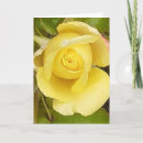 Zoek naar rosebud kaarten Bloemen