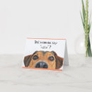 Zoek naar hond humor kaarten Groet