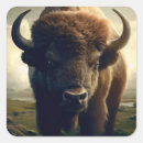Zoek naar bizon stickers Wild