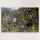 Zoek naar vogel puzzels Robin