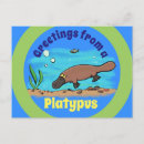 Zoek naar vogelbekdier briefkaarten Platypus
