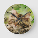 Zoek naar maine coon kunst Grappig